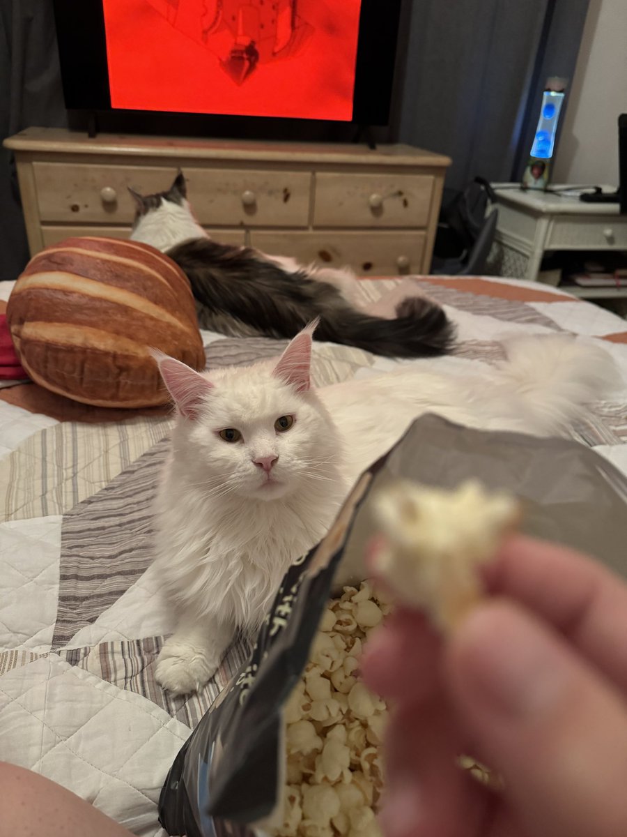 he yearns for the popped corn