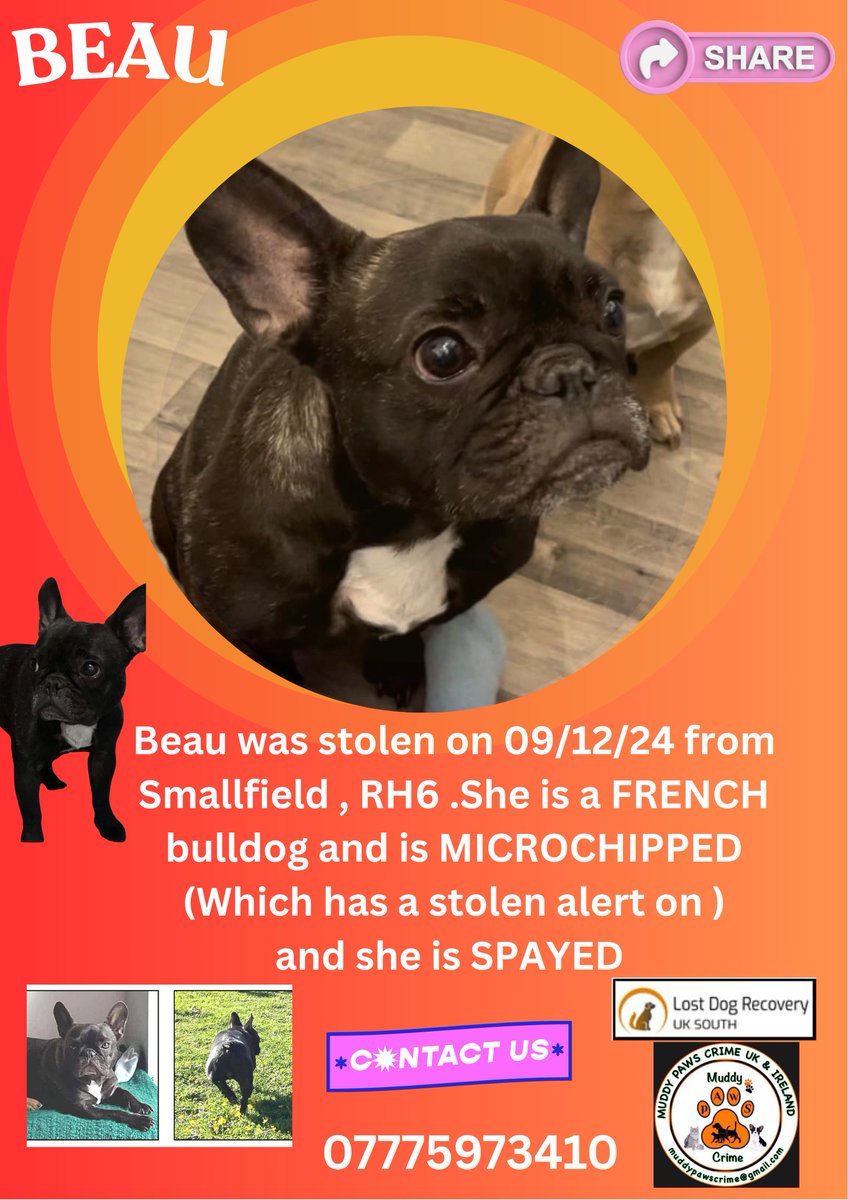 Muddy_paws_crime (@muddypawscrime) on Twitter photo Please don't forget about Beau 🥲
With no news coming in every day is filled with heartache for Beaus owner 🥲
If you have any information please speak to us IN CONFIDENCE .
<a href="/MissingPetsGB/">Missing Pets GB</a> Please don't forget about Beau 🥲
With no news coming in every day is filled with heartache for Beaus owner 🥲
If you have any information please speak to us IN CONFIDENCE .
<a href="/MissingPetsGB/">Missing Pets GB</a>