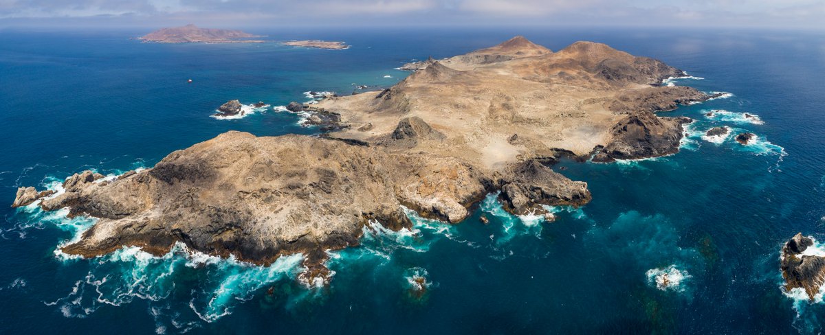 PROFEPA y GECI unen esfuerzos por las islas de México
Firman un convenio para fortalecer la vigilancia, restauración y conservación de las Áreas Naturales Protegidas en el territorio insular mexicano.
islas.org.mx/noticias_detal…
Foto: Archipiélago San Benito, © GECI / J.A. Soriano