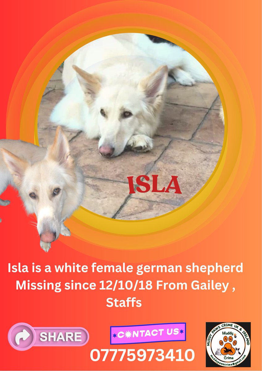 Muddy_paws_crime (@muddypawscrime) on Twitter photo In October it will 7 years since Isla was with her family
Somebody has information so please do the right thing and give Islas family closure with evidence or speak to us IN CONFIDENCE if you know where she is
<a href="/MissingPetsGB/">Missing Pets GB</a> <a href="/HunnyJax/">Stolen Missing Longtimelost 🐾Where Are They All</a> In October it will 7 years since Isla was with her family
Somebody has information so please do the right thing and give Islas family closure with evidence or speak to us IN CONFIDENCE if you know where she is
<a href="/MissingPetsGB/">Missing Pets GB</a> <a href="/HunnyJax/">Stolen Missing Longtimelost 🐾Where Are They All</a>