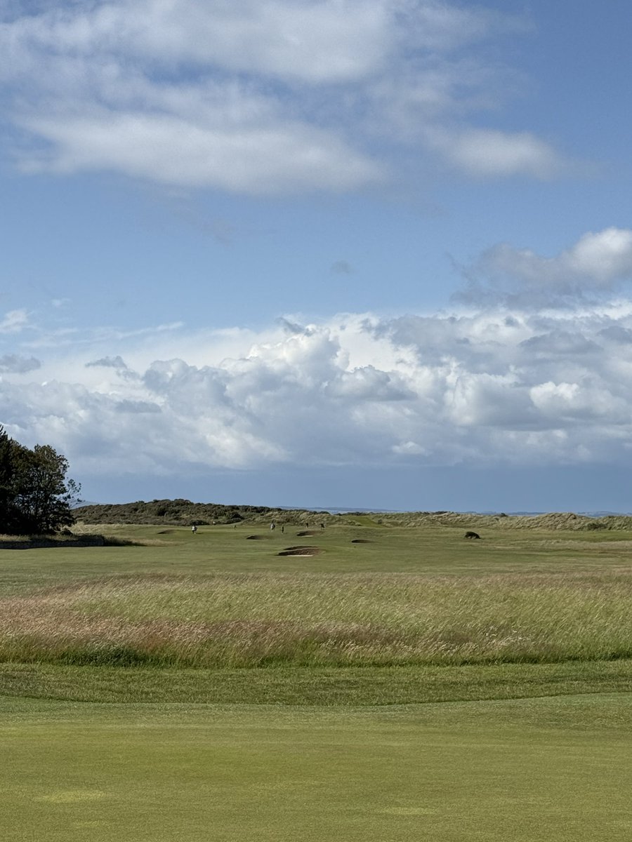 Michael S. Kim tweet media