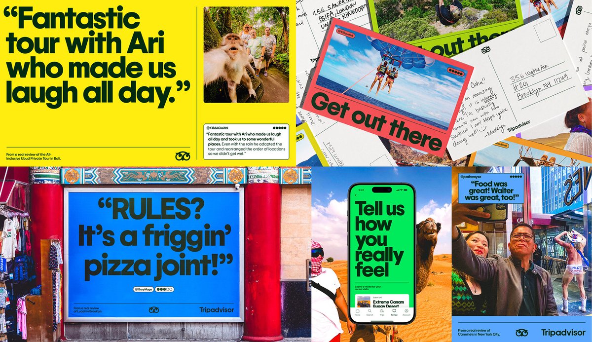 Elizabeth Goodspeed tweet media