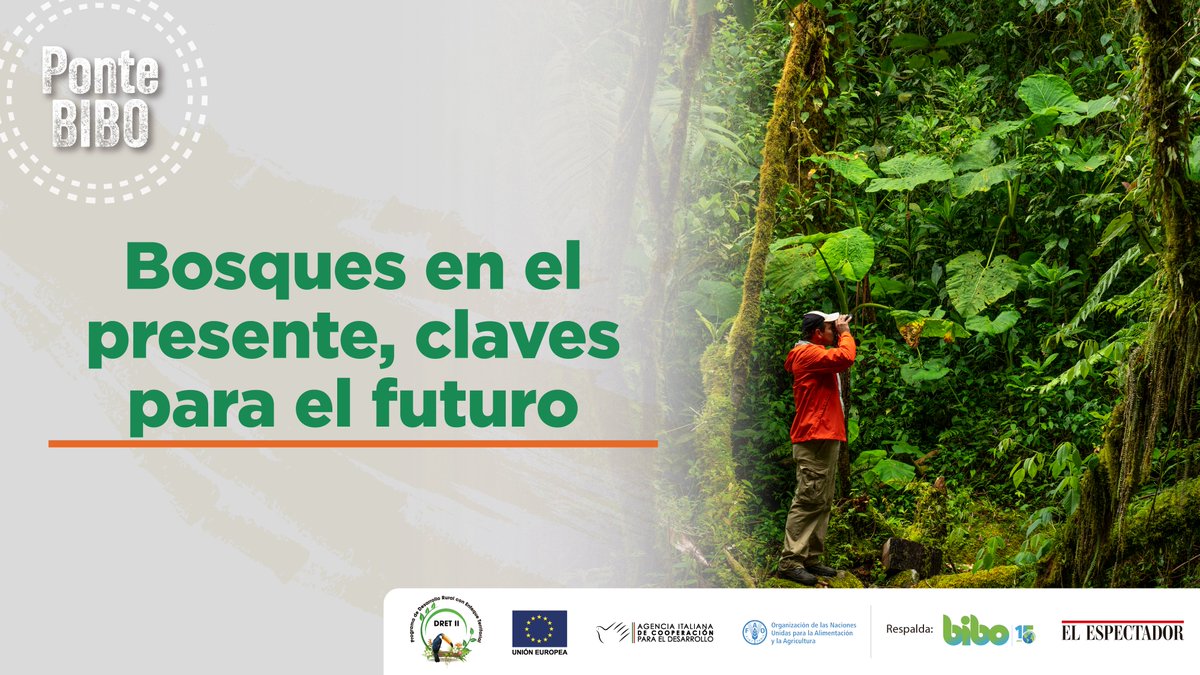 #PonteBIBO | Cada año se pierden más de 10 millones de hectáreas de bosques. 🌳 La gestión sostenible, el consumo responsable, el apoyo a políticas ambientales, la restauración ecológica y la participación de comunidades locales son fundamentales para revertir esta tendencia.