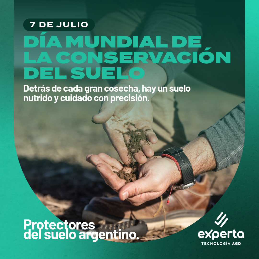 AGD Experta tweet media