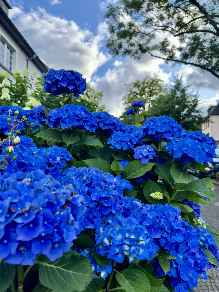 Welches ist meine Lieblingsfarbe?
