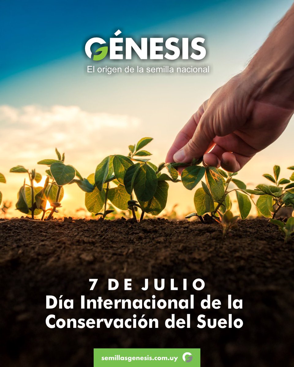 🌱 Cuidar el suelo es honrar el origen de todo lo que cultivamos.

En el Día Internacional de la Conservación del Suelo, reafirmamos nuestro compromiso con prácticas responsables que aseguren la salud del campo y el futuro de la producción nacional.