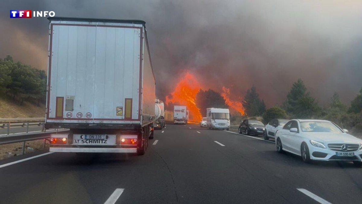 EN DIRECT - Incendie dans l'Aude : un feu parcourt 750 hectares près de Narbonne
➡️ l.tf1info.fr/CkD