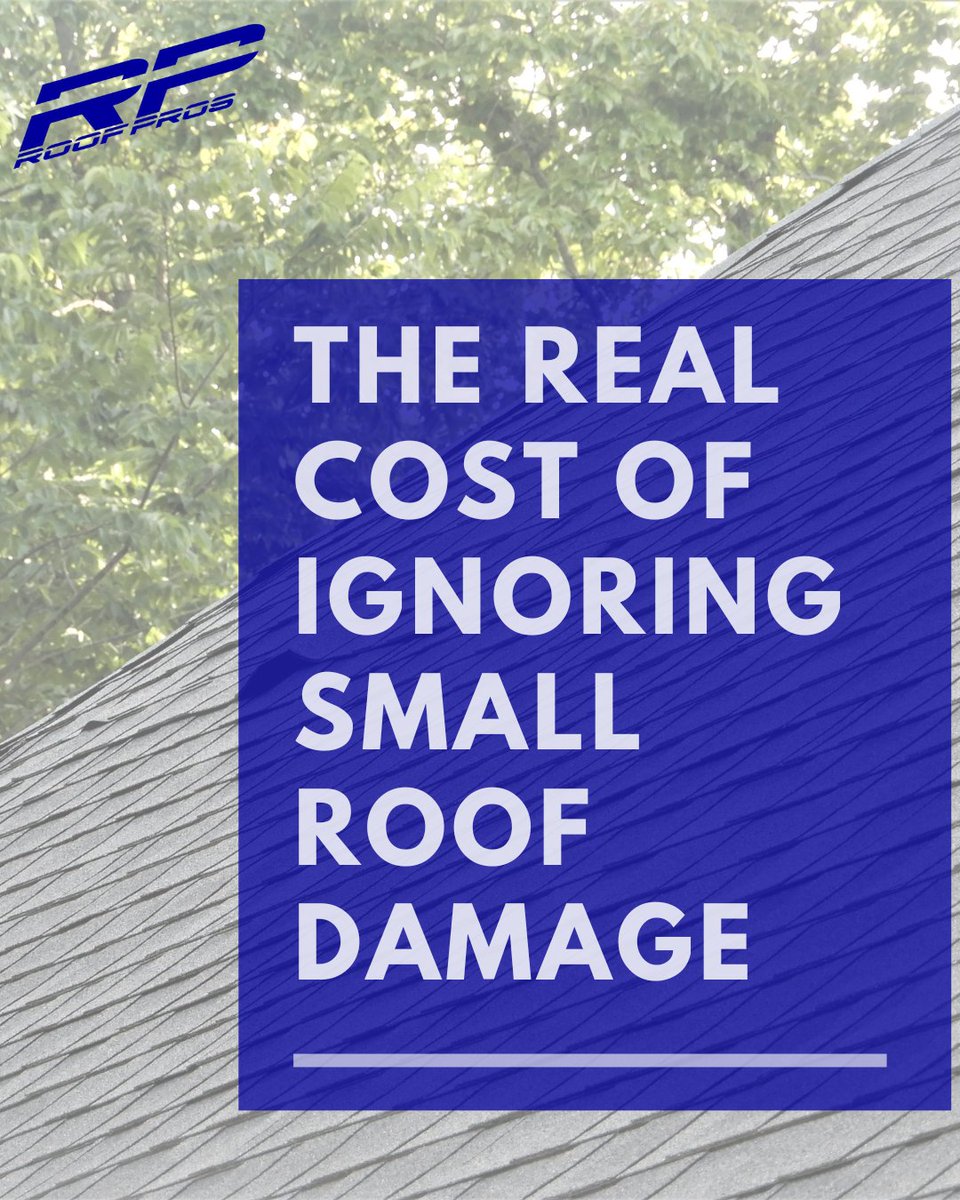 While it might be easy to dismiss a missing shingle or a minor leak as “no big deal,” small roof damage can lead to big problems—and even bigger costs—if left unaddressed.

Read our new blog to learn the real cost of ignoring minor damage: roofprosflorida.com/the-real-cost-…