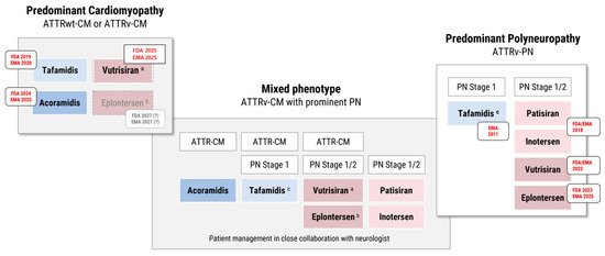 Info_Rares's tweet photo. Approved and emerging therapeutic options for transthyretin (#ATTR) amyloidosis with predominant cardiomyopathy (ATTR-CM), polyneuropathy (ATTR-PN), or mixed phenotype.
https://t.co/LV1xaUO3fe https://t.co/U3u2BoqkdM