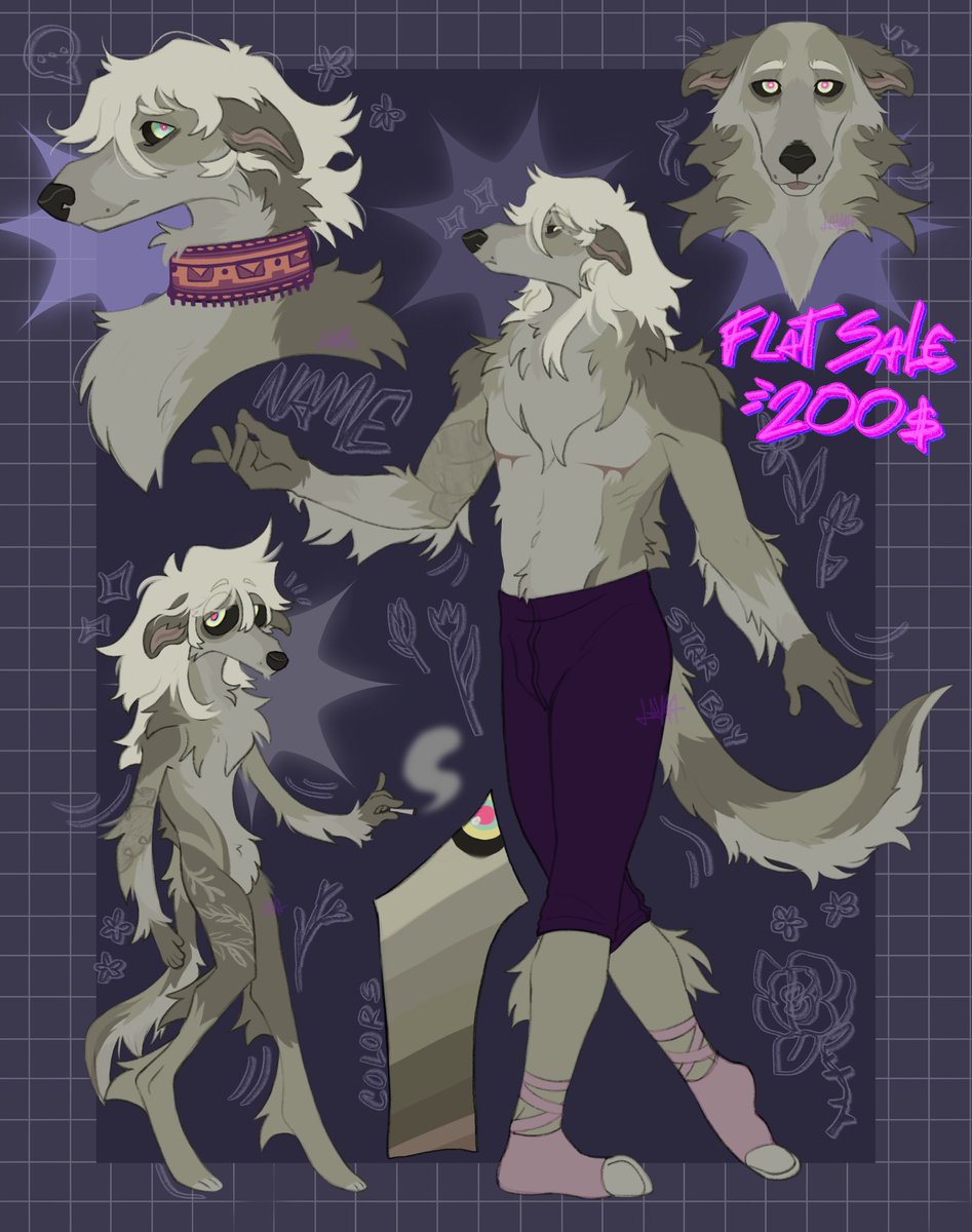 Borzoi Adopt!!

+info below