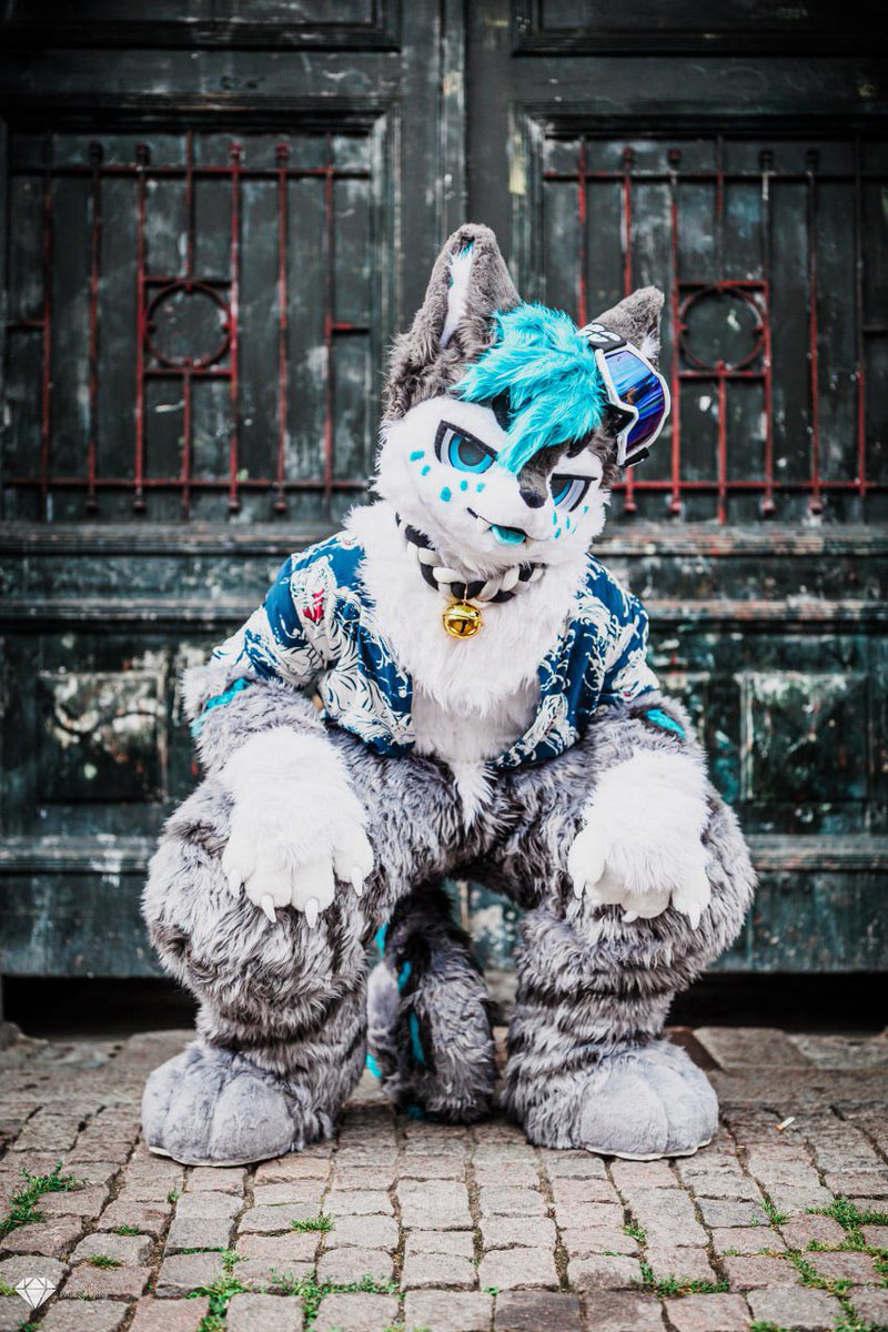 Had a good time in Copenhagen with fluffies and i met a lot of them in that time. 🩵🐱
Thank you again for the amazing pictures Kyanite :3

#FursuitEverday #furry