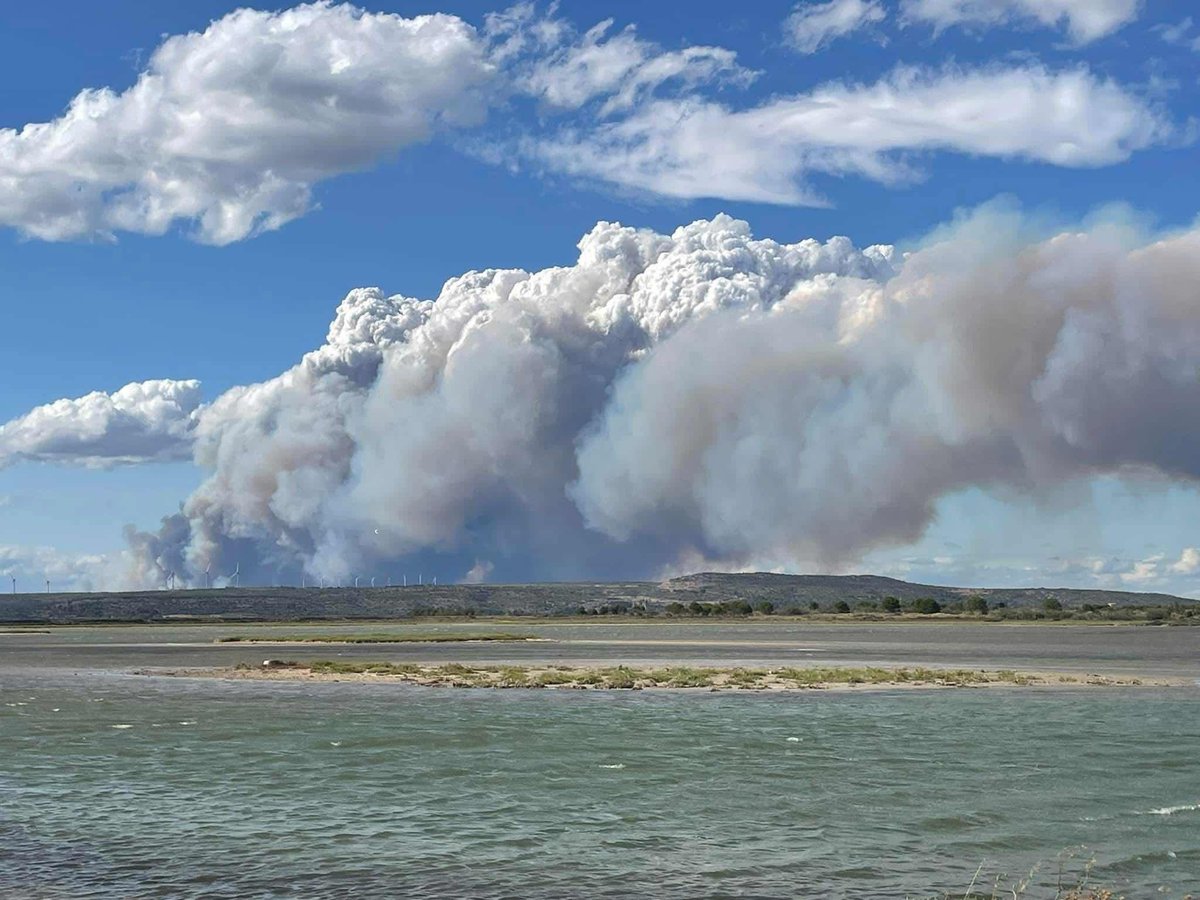 infoccitanie's tweet photo. 🔥 Un impressionnant #pyrocumulus s’est formé au dessus de l’#incendie en cours et toujours hors de contrôle près de #Narbonne dans l’#Aude. Plus de 1000 hectares ravagés selon un dernier bilan. https://t.co/3yUHIypFPR