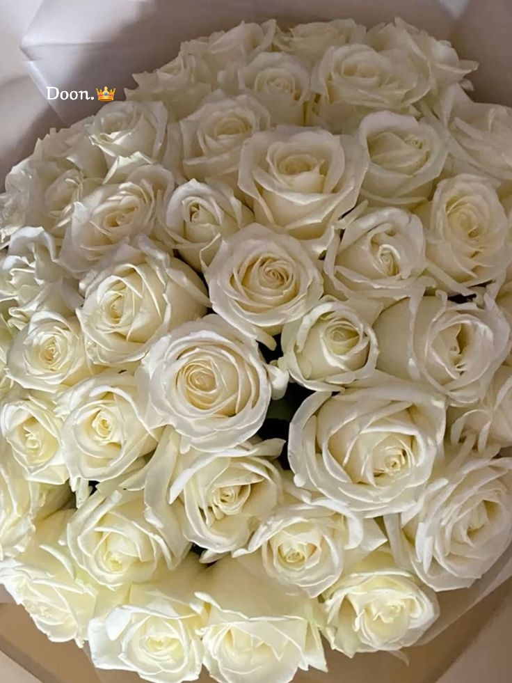doon (@doon__60) on Twitter photo <a href="/SalehDark/">صــالح والطيب للإضافات Gp</a> <a href="/HobaniDark/">ֆ αɹ̣ɹ̤᎗බ⅃І͛</a> <a href="/altyb1980/">الطيب🇯🇴</a> <a href="/SalehDar/">cammando</a> <a href="/Alyamani_70/">Doon alyamani</a> <a href="/Os_hg18/">Os 💛🖤</a> <a href="/Al_Yafei1/">𓆲⚘𝑨𝒍-𝒀𝒂𝒇𝒆𝒊•🆇•ύʟ̤ɾɹɹɹב⚘𓆲</a> <a href="/12ZZZ22/">دختور🔥🔥</a> <a href="/WX2fu/">مهندس ايمن عماره</a> <a href="/nahed__8/"> نـN♡᭄ـٌآهِِد دمۘـ؏ـۃ ٵ̍ڵمٰۘ̍ الخاص❌</a> <a href="/522MMM/">🇸🇦🩷مرام</a> <a href="/6050j/">࿐〄 آحـ🔥ـمـ🔥ـدٍ〄࿐</a> <a href="/nns___4/">✧ 𝒩𝒶𝓌𝒶𝓇𝒶 ✧</a> <a href="/muna_alD/">بلقاوويه مزيوونه ❤️🇯🇴</a> <a href="/naj_009/">نجلا الحمايده</a> <a href="/rnyyi/">بنت الاڪــᬽـ꙰❤𝄠ۛـابࢪ</a> <a href="/u_8zm/">زْھَہّرة | 🦋 💞</a> <a href="/EA_770/">ENTSAR💜</a> <a href="/Y_O_U_S_1/">✨️ YOUSIF ✨️</a> <a href="/fozz_1234/">♥️🕊الاميره قلبي🕊♥️</a> <a href="/m_2alak/">ملاڪ</a> <a href="/_HZTT/">عيون المها 🇮🇶</a> <a href="/R_44888/">شهد 👑 💛🖤</a> <a href="/N_IraQ50/">نور العراق</a> مساء الورد والفل والياسمين.💐💐
يعطيك العافيه #صالح وسلممت يمينك عالدعم المميزز.🤍✨🌸🌷
#تشكراااات <a href="/SalehDark/">صــالح والطيب للإضافات Gp</a> <a href="/HobaniDark/">ֆ αɹ̣ɹ̤᎗බ⅃І͛</a> <a href="/altyb1980/">الطيب🇯🇴</a> <a href="/SalehDar/">cammando</a> <a href="/Alyamani_70/">Doon alyamani</a> <a href="/Os_hg18/">Os 💛🖤</a> <a href="/Al_Yafei1/">𓆲⚘𝑨𝒍-𝒀𝒂𝒇𝒆𝒊•🆇•ύʟ̤ɾɹɹɹב⚘𓆲</a> <a href="/12ZZZ22/">دختور🔥🔥</a> <a href="/WX2fu/">مهندس ايمن عماره</a> <a href="/nahed__8/"> نـN♡᭄ـٌآهِِد دمۘـ؏ـۃ ٵ̍ڵمٰۘ̍ الخاص❌</a> <a href="/522MMM/">🇸🇦🩷مرام</a> <a href="/6050j/">࿐〄 آحـ🔥ـمـ🔥ـدٍ〄࿐</a> <a href="/nns___4/">✧ 𝒩𝒶𝓌𝒶𝓇𝒶 ✧</a> <a href="/muna_alD/">بلقاوويه مزيوونه ❤️🇯🇴</a> <a href="/naj_009/">نجلا الحمايده</a> <a href="/rnyyi/">بنت الاڪــᬽـ꙰❤𝄠ۛـابࢪ</a> <a href="/u_8zm/">زْھَہّرة | 🦋 💞</a> <a href="/EA_770/">ENTSAR💜</a> <a href="/Y_O_U_S_1/">✨️ YOUSIF ✨️</a> <a href="/fozz_1234/">♥️🕊الاميره قلبي🕊♥️</a> <a href="/m_2alak/">ملاڪ</a> <a href="/_HZTT/">عيون المها 🇮🇶</a> <a href="/R_44888/">شهد 👑 💛🖤</a> <a href="/N_IraQ50/">نور العراق</a> مساء الورد والفل والياسمين.💐💐
يعطيك العافيه #صالح وسلممت يمينك عالدعم المميزز.🤍✨🌸🌷
#تشكراااات