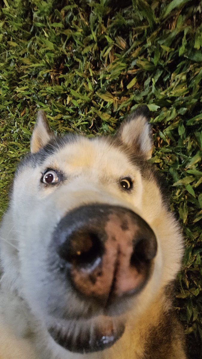 <a href="/LaosOneView/">LaosOneView 🇻🇪</a> Me encantaría participar 🗿