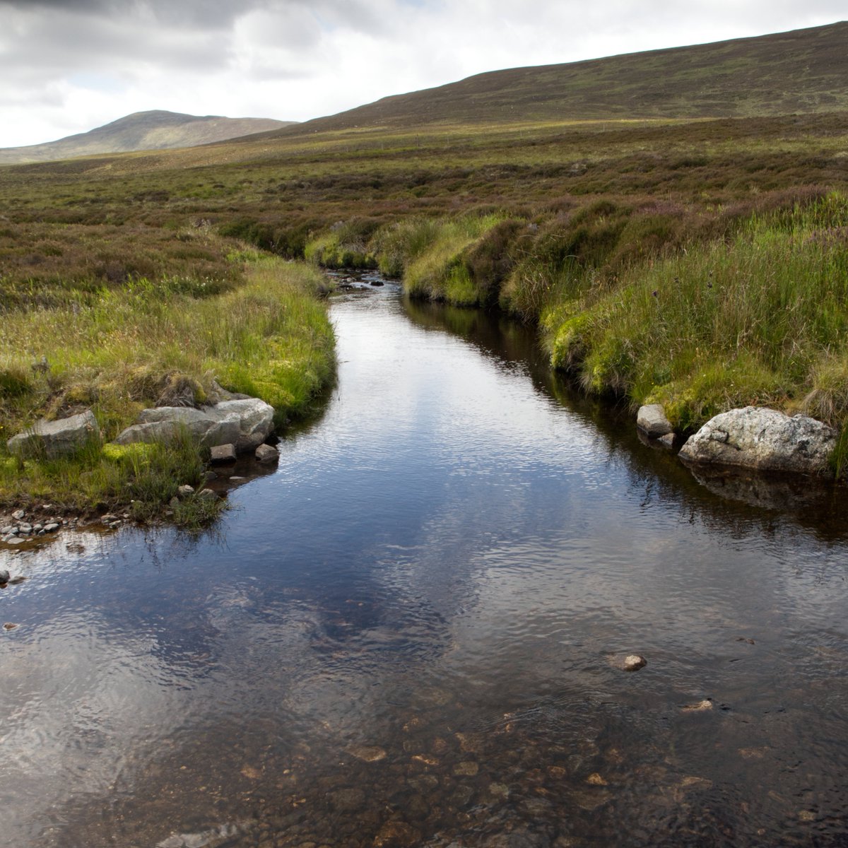 I__J__W's tweet image. a day to myself, and a walk in the Cairngorms @VisitCairngrms  #Scotland #Cairngorms #Photography #landscapes