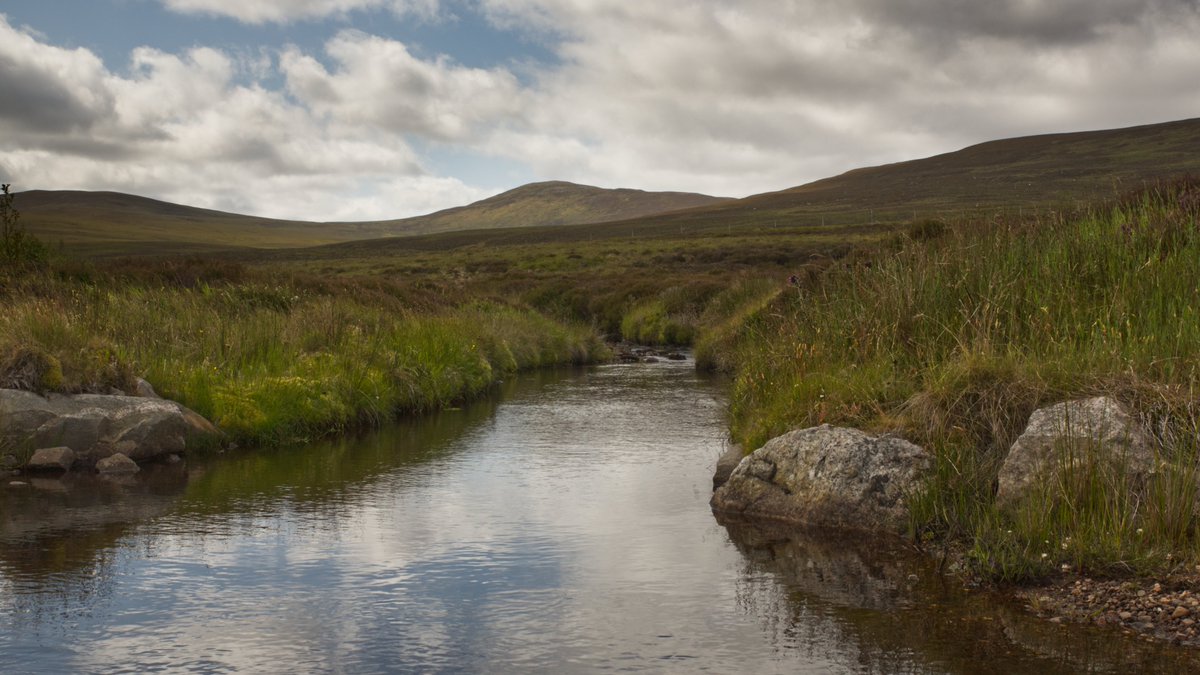 I__J__W's tweet image. a day to myself, and a walk in the Cairngorms @VisitCairngrms  #Scotland #Cairngorms #Photography #landscapes