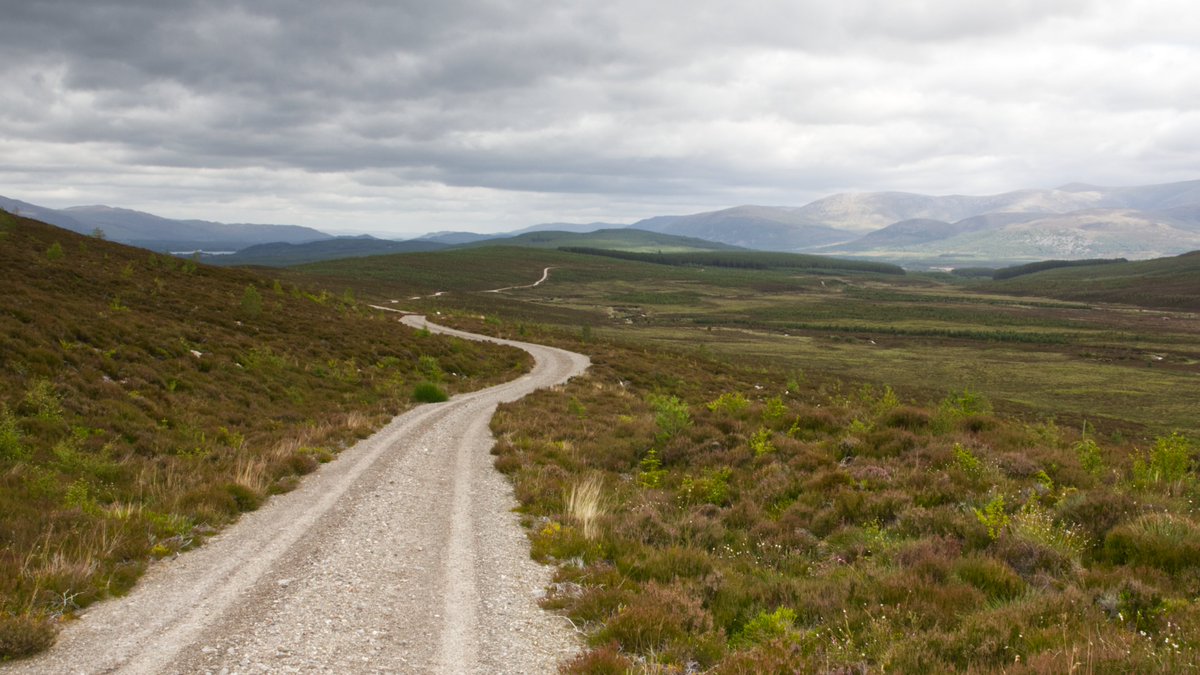 I__J__W's tweet image. a day to myself, and a walk in the Cairngorms @VisitCairngrms  #Scotland #Cairngorms #Photography #landscapes
