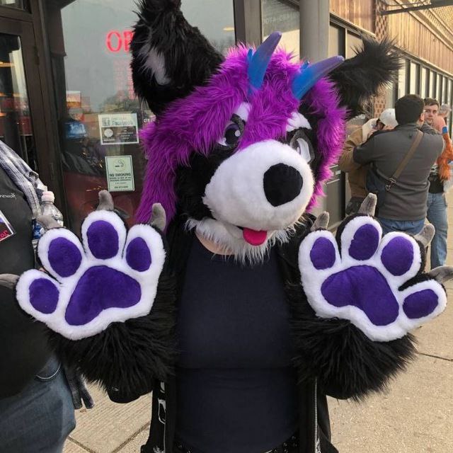 Kira the Wagon 💜 tweet media
