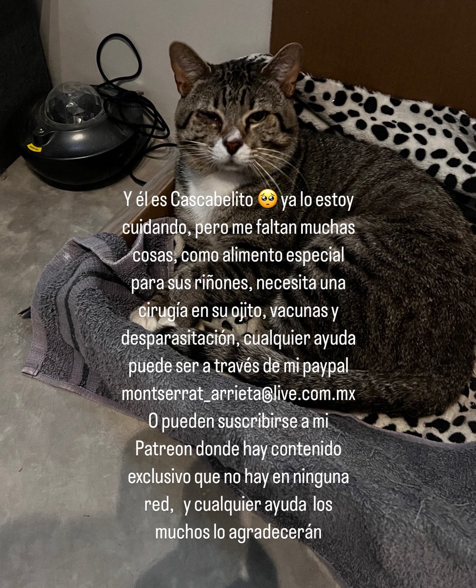 happymusarana's tweet photo. Cualquier ayuda la agradezco  de corazón 🥺

Paypal: montserrat_arrieta@live.com.mx 

https://t.co/2LmnQhJ48r https://t.co/CW31rMNNR7