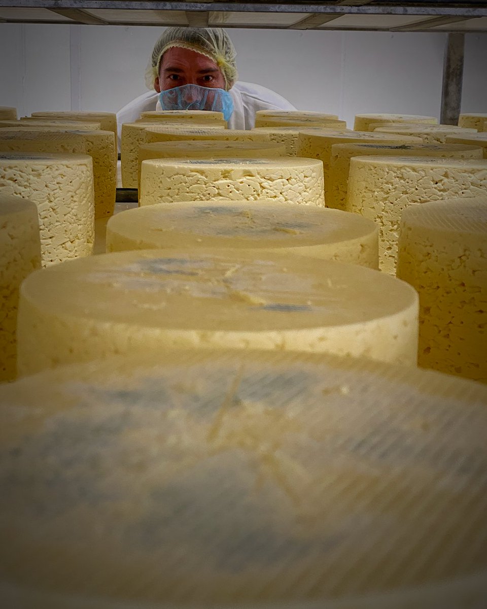 alexjameshq's tweet image. A look around @shepherdspurse, where they make our beloved #BlueMonday cheese 🧀 #whatsnottolove
