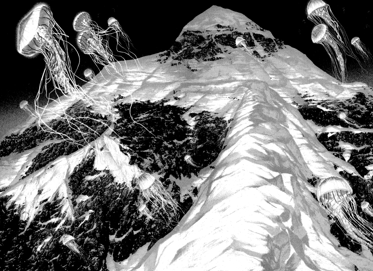 Alvro ❄🏔 tweet media