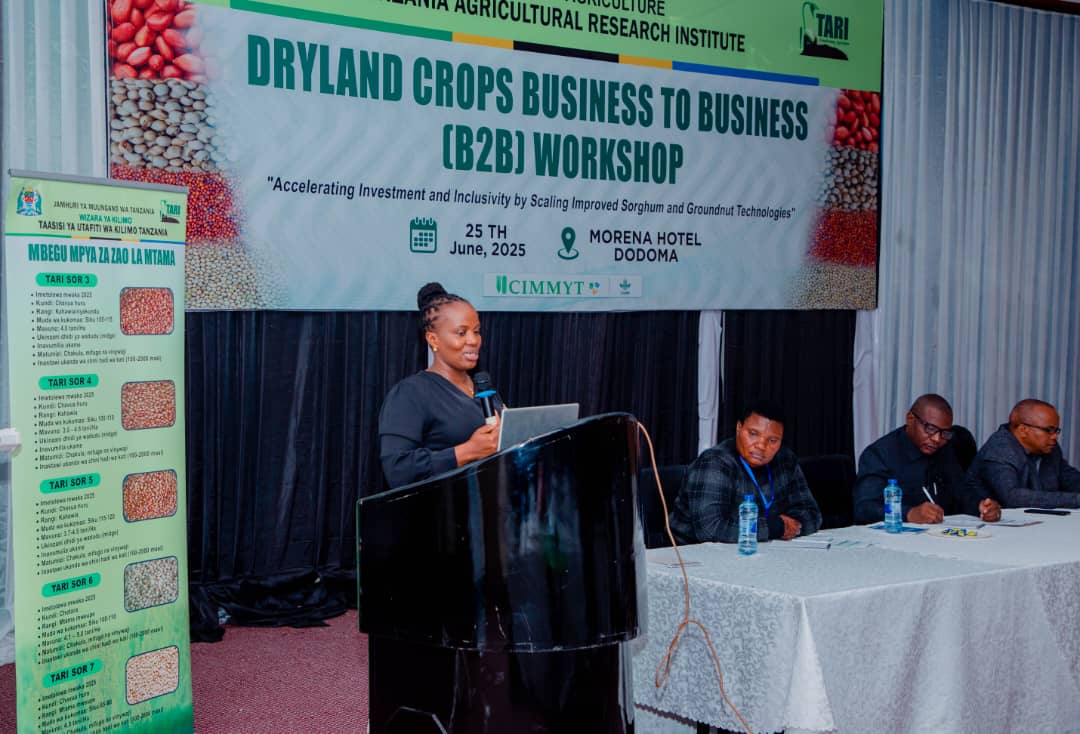 Africa Dryland Crops Improvement Network tweet media