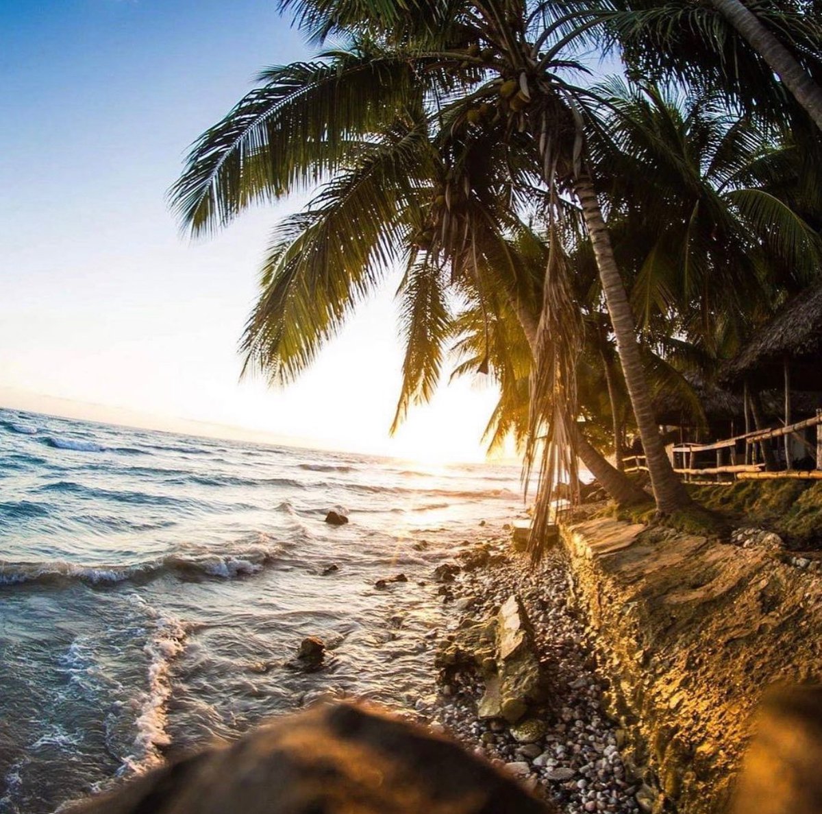 Good morning 😎

Follow along as i document #bitcoin adoption in #Haiti, Latin America, Africa and developing countries.

Want to support? Consider follow my page and visiting our store for fresh #Bitcoin merch.
(\_/)
( •_•)
/ &gt;👕 
libertyequalityfraternitybitcoin.com

#BTC Onward 🧡🌍🦾