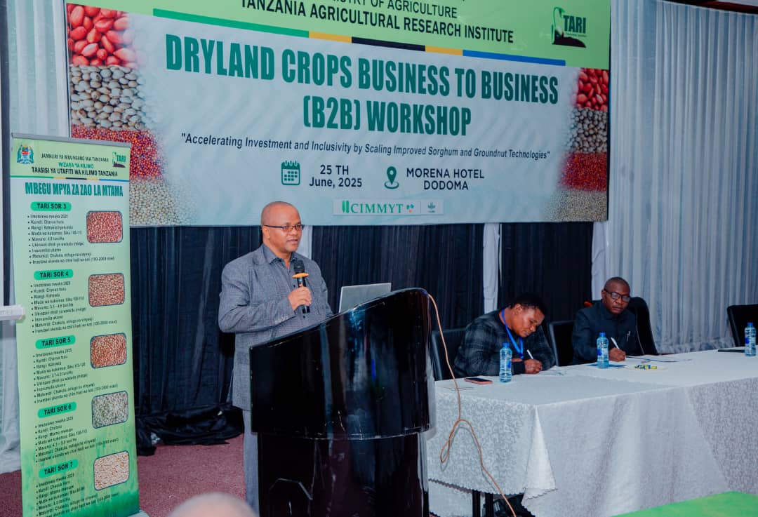 Africa Dryland Crops Improvement Network tweet media