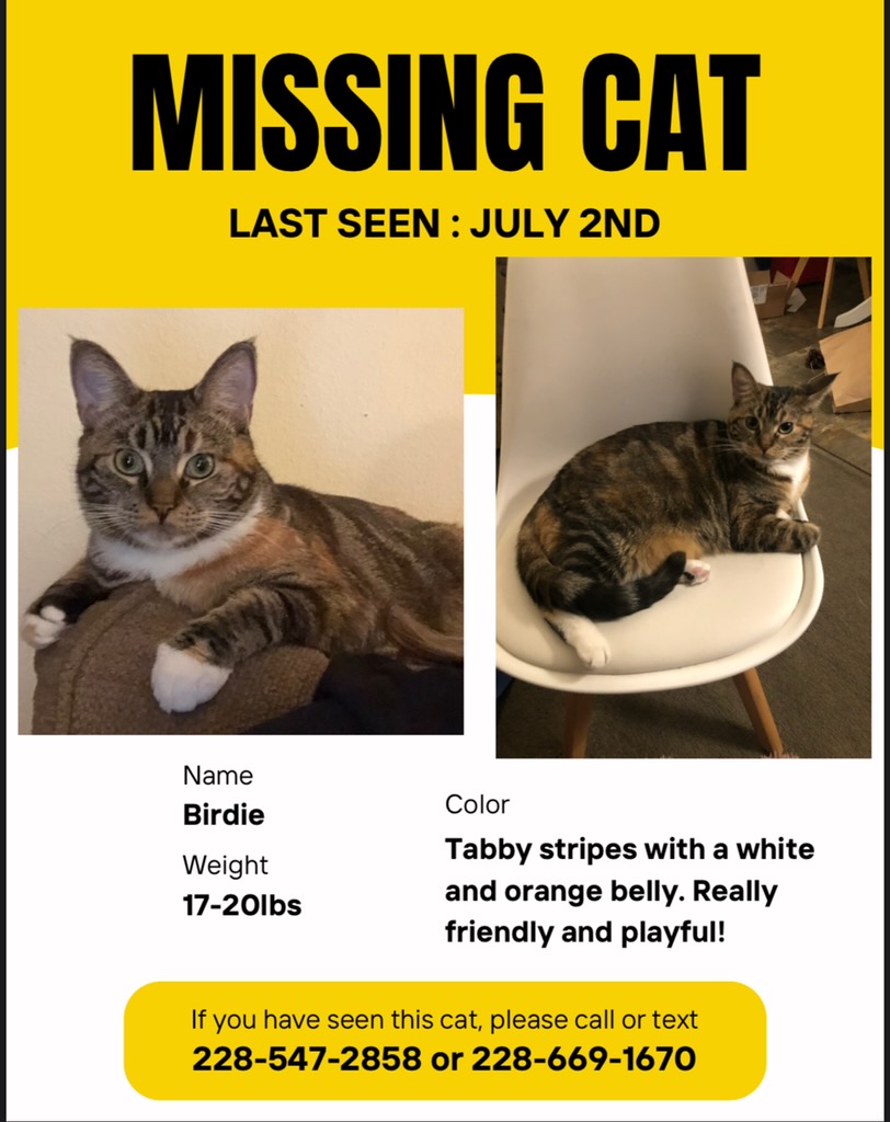 Adam Fligsten tweet media