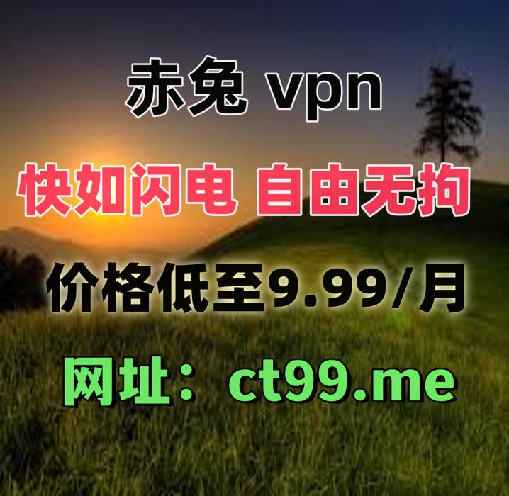 VPN加速器翻墙软件梯子 tweet media