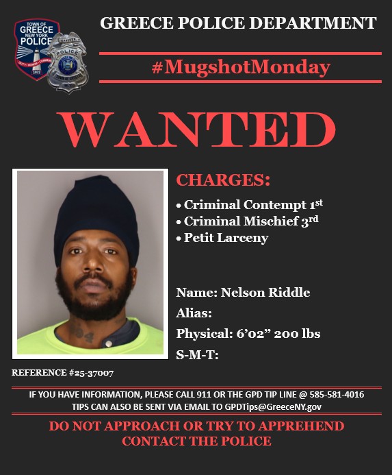 Greece Police NY (@greecepoliceny) on Twitter photo 🚨#MUGSHOTMONDAY🚨
Any INFO? Call 📲the GPD tip line @ 585-581-4016 or 📨email tips to GPDTips@GreeceNY.gov
<a href="/ROCHNYCRIMEINFO/">ROCHESTER, NY CRIME, INCIDENTS, NEWS, INFO</a> 🚨#MUGSHOTMONDAY🚨
Any INFO? Call 📲the GPD tip line @ 585-581-4016 or 📨email tips to GPDTips@GreeceNY.gov
<a href="/ROCHNYCRIMEINFO/">ROCHESTER, NY CRIME, INCIDENTS, NEWS, INFO</a>