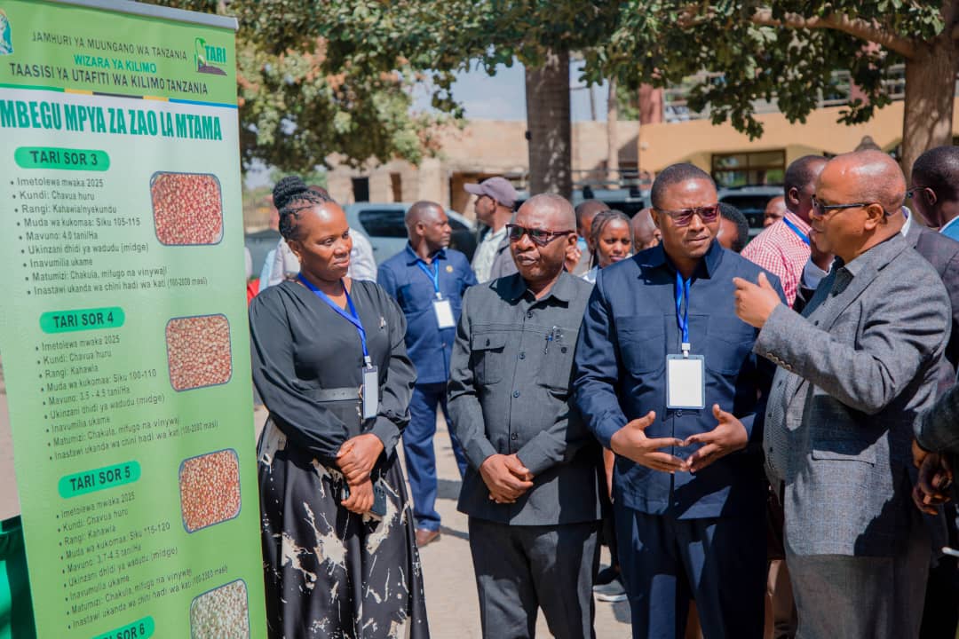Africa Dryland Crops Improvement Network tweet media
