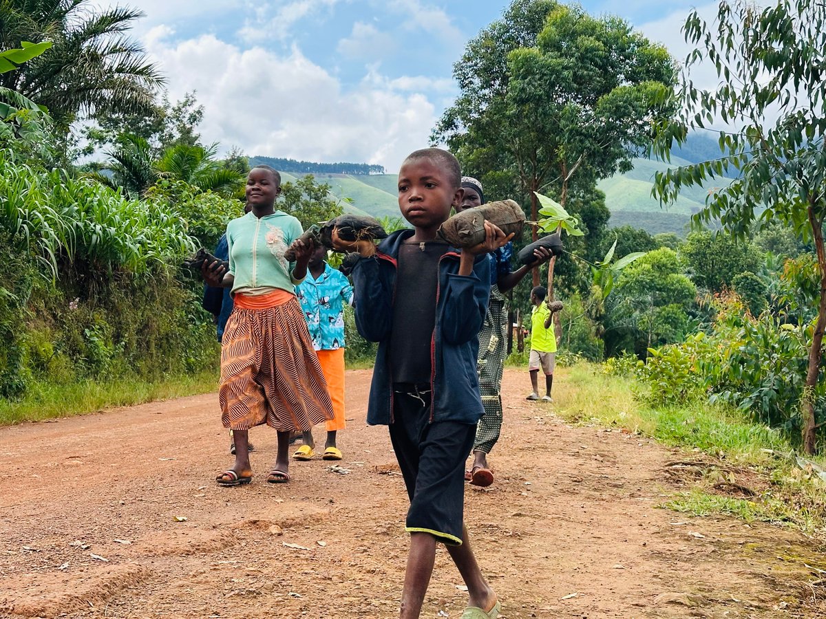 🌳 Growing a greener Kigutu!

Local community members planted over 2,500 fruit trees during a planting day organized by @VillageHealthW, supporting nutrition and food security in Kigutu.

🌍 Together, we’re planting hope for a healthier future.

#VHW #TreePlanting #Kigutu