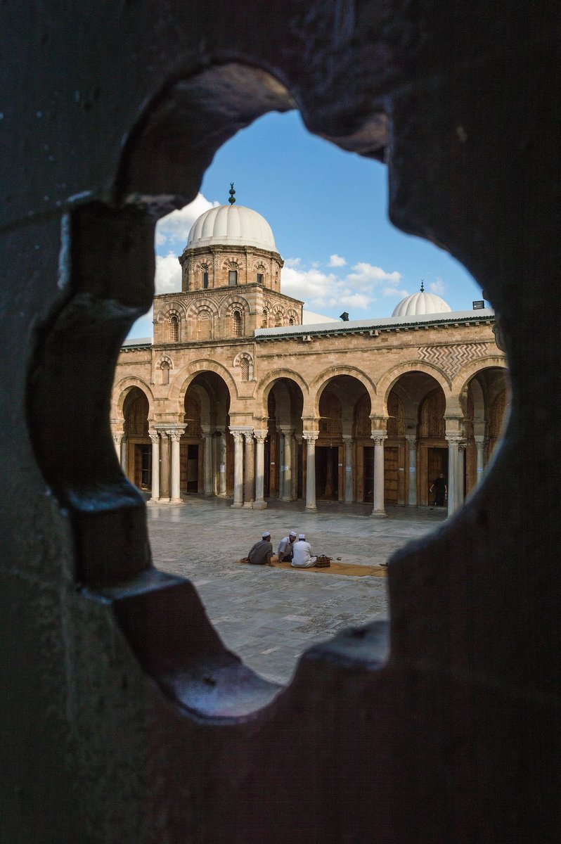 Domes of the Zitouna Mosque| قباب جامع الزيتونة