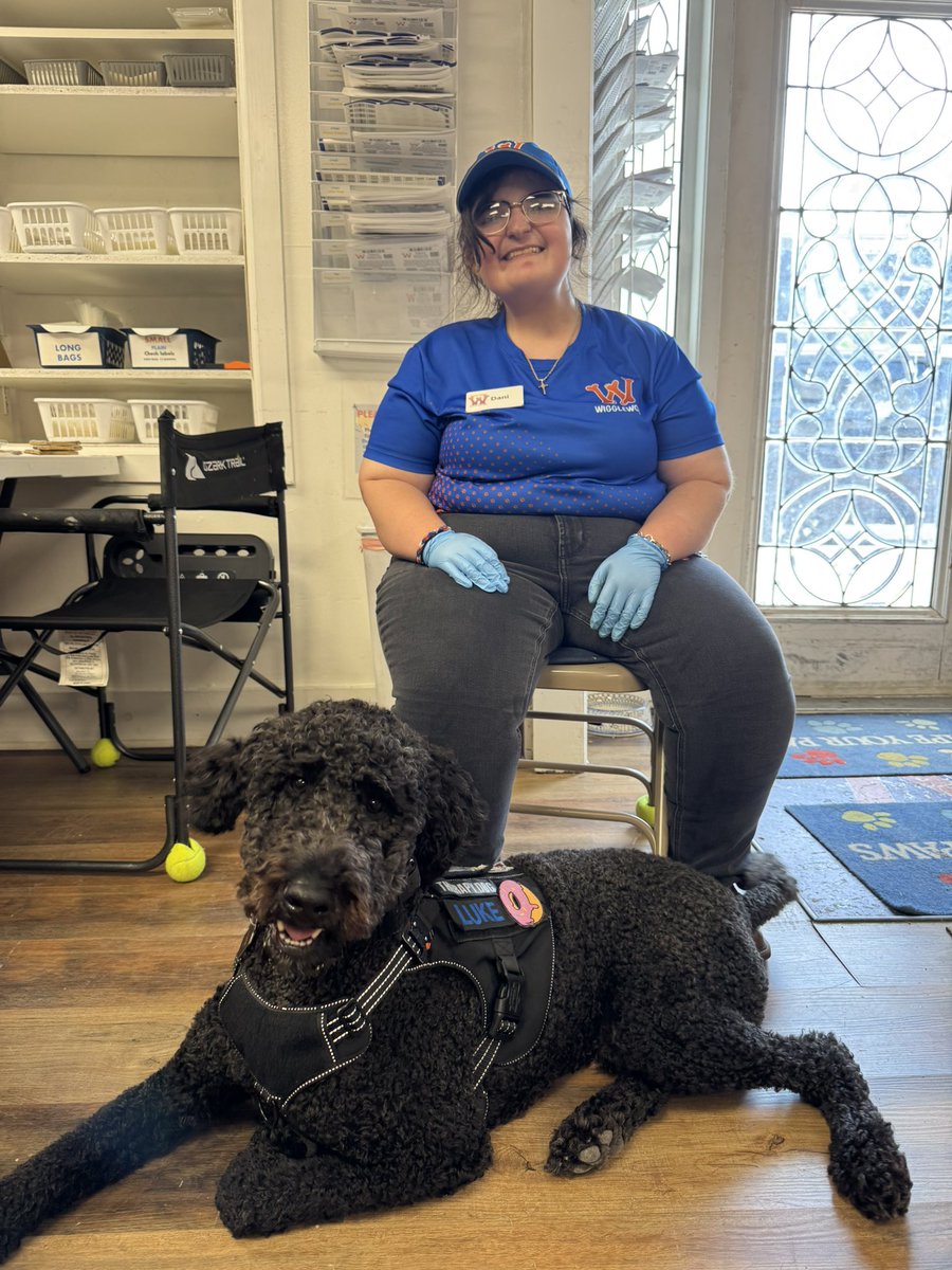 instagram.com/p/DL0KwA9psFf/…