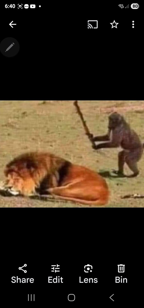 <a href="/DDM4V7PRO/">Bruce Silverman</a> <a href="/Lisa82461337852/">Lady Hoojafink</a> <a href="/bizzarrogeorge/">The Real Matt</a> <a href="/TRobinsonNewEra/">Tommy Robinson 🇬🇧</a> As did Enoch Powell..
Don't say that this Country is Toast.  We are slow on the uptake as we always "play cricket." 
But we are THE MANY..  We are benevolent, but 
We won't be Walked over.