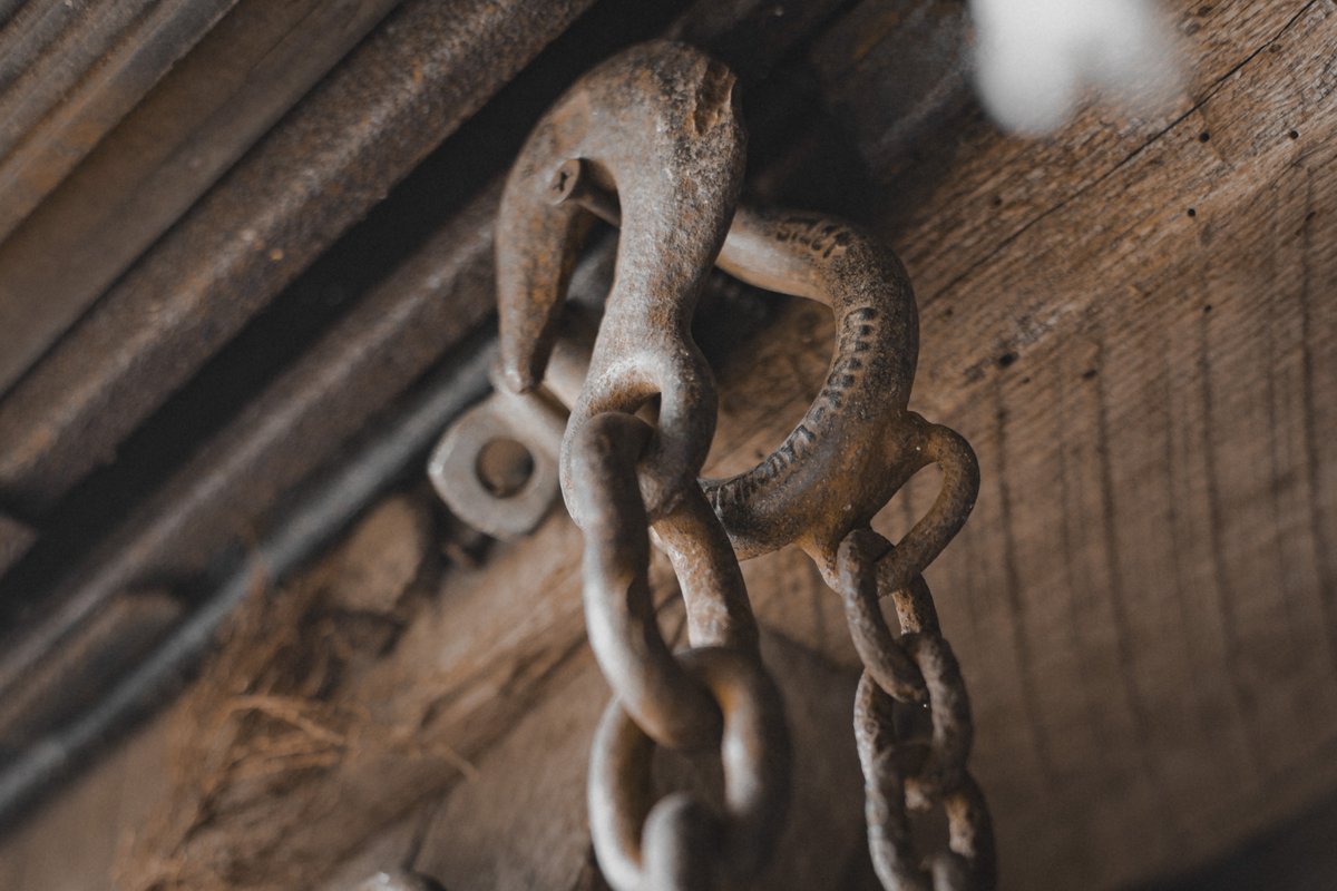 JuliaM987's tweet photo. Being Bored Can Inspire Good Photographs! | Canon R6 Mark II Photography Challenge
https://t.co/lU0nKCe9qA
YouTube: Julia M. McClurg  

@CanonUSA #canonphotography #canonr6 #canonr6markii #canonr6photography #photography #photooftheday #macrophotography https://t.co/U5L6N6HcRg