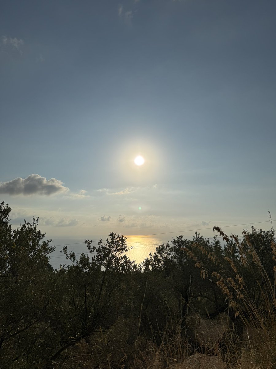 sunmaxxing in here tbh