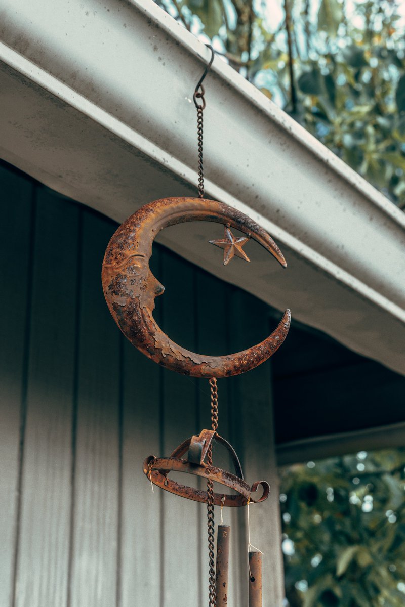 JuliaM987's tweet photo. Being Bored Can Inspire Good Photographs! | Canon R6 Mark II Photography Challenge  
https://t.co/lU0nKCeHg8
YouTube: Julia M. McClurg  

@CanonUSA #canonphotography #canonr6 #canonr6markii #canonr6photography #photography #photooftheday #macrophotography https://t.co/kEp6ZweymO