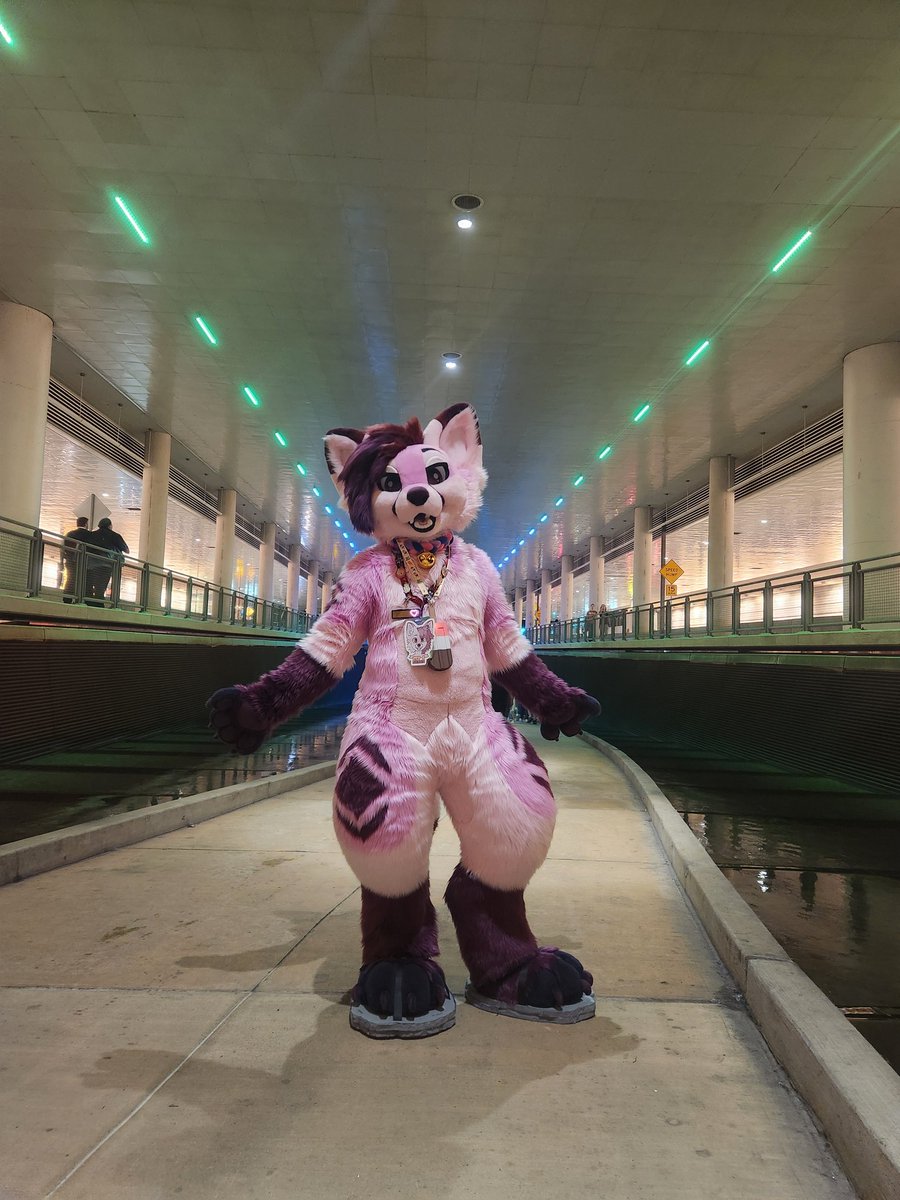 Blaze_TF2's tweet photo. Farewell AC, my first time here was such a wonderful experience. What an amazing con! I'll definitely be looking to come back again next year! #anthrocon2025
🪡: @spareferret https://t.co/TeQhLcM0wX