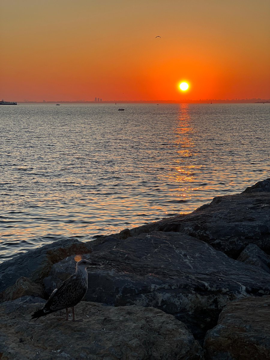 Anlık Maltepe sahil