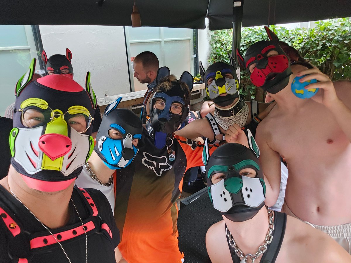 pupjavo's tweet photo. Wraff! Had a great time at Bark and Play! It was my first time meeting new pups at a dedicated event like this and needless to say I'm hooked! That was in no small part thanks to this amazing group of friends I went with (@pupper_finn @pupper_blitz @PupDito @PupSmiley_), it was a bit nerve-wracking to walk through the door at first but that very quickly turned into an amazing day I will be remembering fondly for many years!

Here's to many more events like this in the future! Awrooooooo!

- Javo 🐶💚

#pupplay #gaypup #puppyplay #gaykink #gayfetish #gearplay #gearfetish #gay #humanpup #musclepup #puphood #pupgear #pupkink