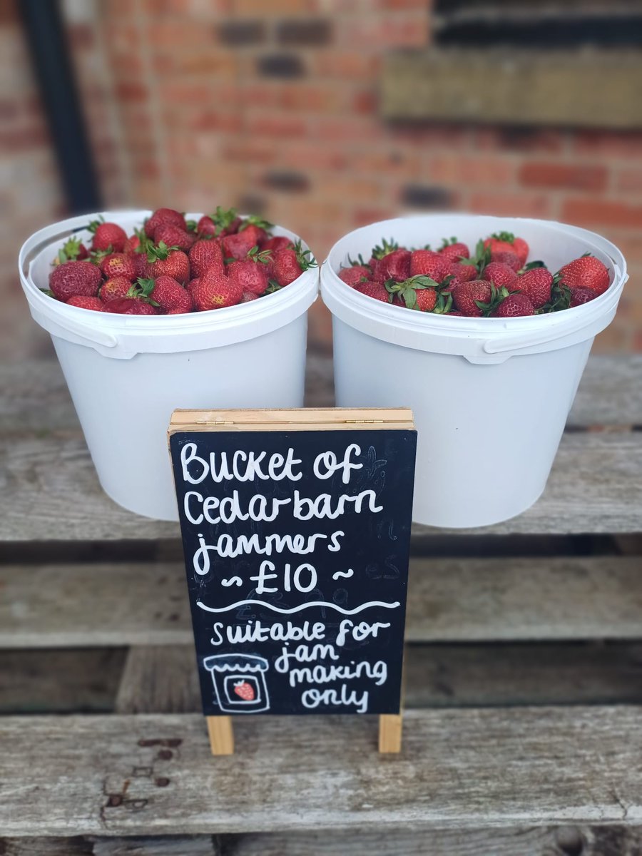 ** Attention jam makers! **

NEW at Cedarbarn - buckets of delicious strawberries just for jamming! 

Available in the Farm Shop daily from 9  am

Come and grab a bargain bucket whilst stocks last! 

#CedarbarnStrawberries #JamMakingPickering #JammingStrawberries #HomeMadeJam