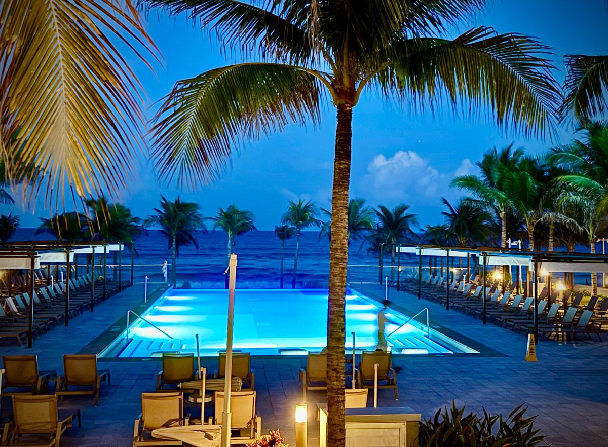 Marina Viola tweet media