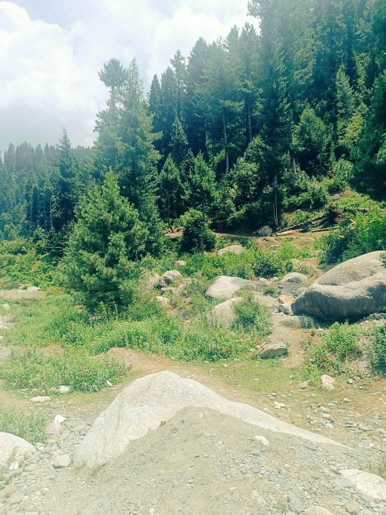 aacif_dar's tweet photo. #NaturePhotography https://t.co/Zne2TLzoVx
