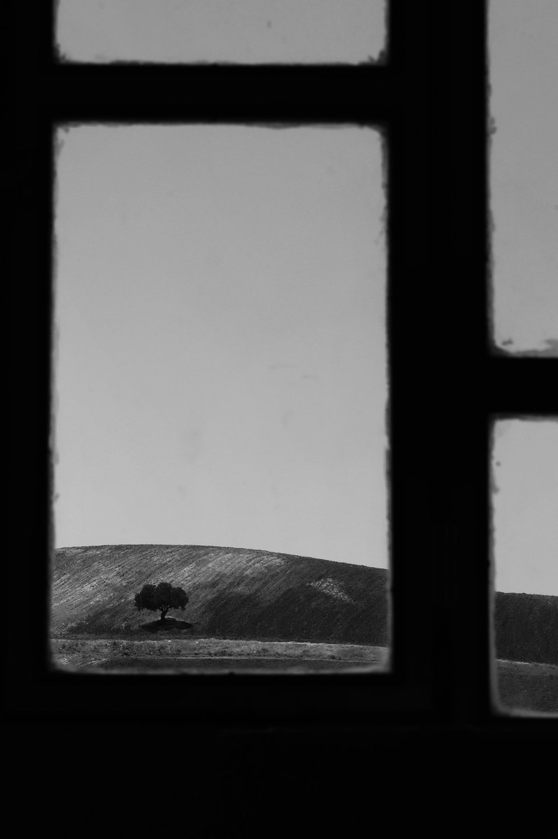 Abbas Rahmani (@abbas_rahmani63) on Twitter photo ✔️sold
Collected by: <a href="/robwdawkins/">Rob Dawkins</a>
dear <a href="/robwdawkins/">Rob Dawkins</a> thank you very much for collecting an edition of "Window".
"Window" 7 #tezos
Link:
objkt.com/tokens/hicetnu… ✔️sold
Collected by: <a href="/robwdawkins/">Rob Dawkins</a>
dear <a href="/robwdawkins/">Rob Dawkins</a> thank you very much for collecting an edition of "Window".
"Window" 7 #tezos
Link:
objkt.com/tokens/hicetnu…