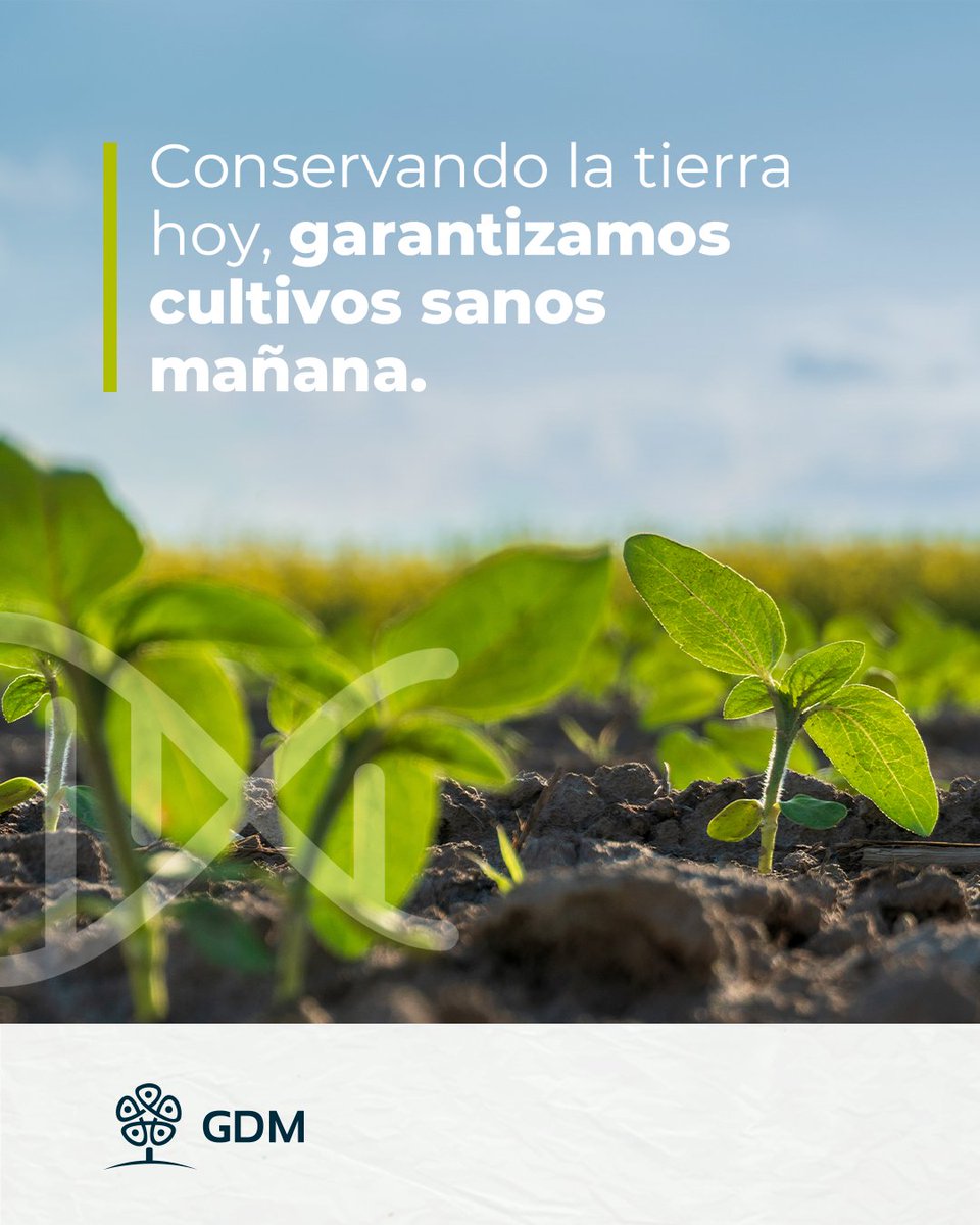 En GDM trabajamos día a día para proteger y conservar el suelo, la base que sostiene cada cultivo y cada avance en la agricultura.
Creemos en una producción sustentable que conserve la tierra para las generaciones de hoy y de mañana.
💡 Porque cuidar el suelo es cuidar el futuro.