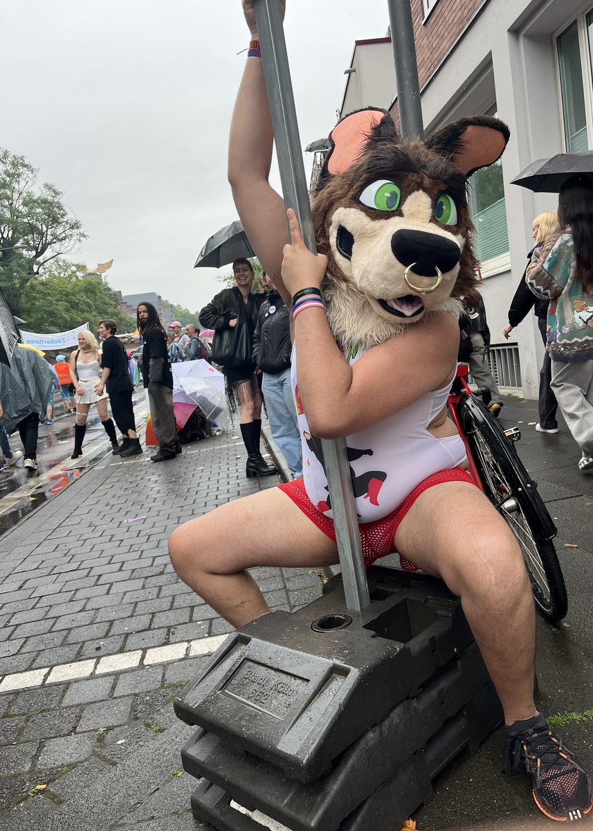 r_toroid's tweet image. Very wet gay animals