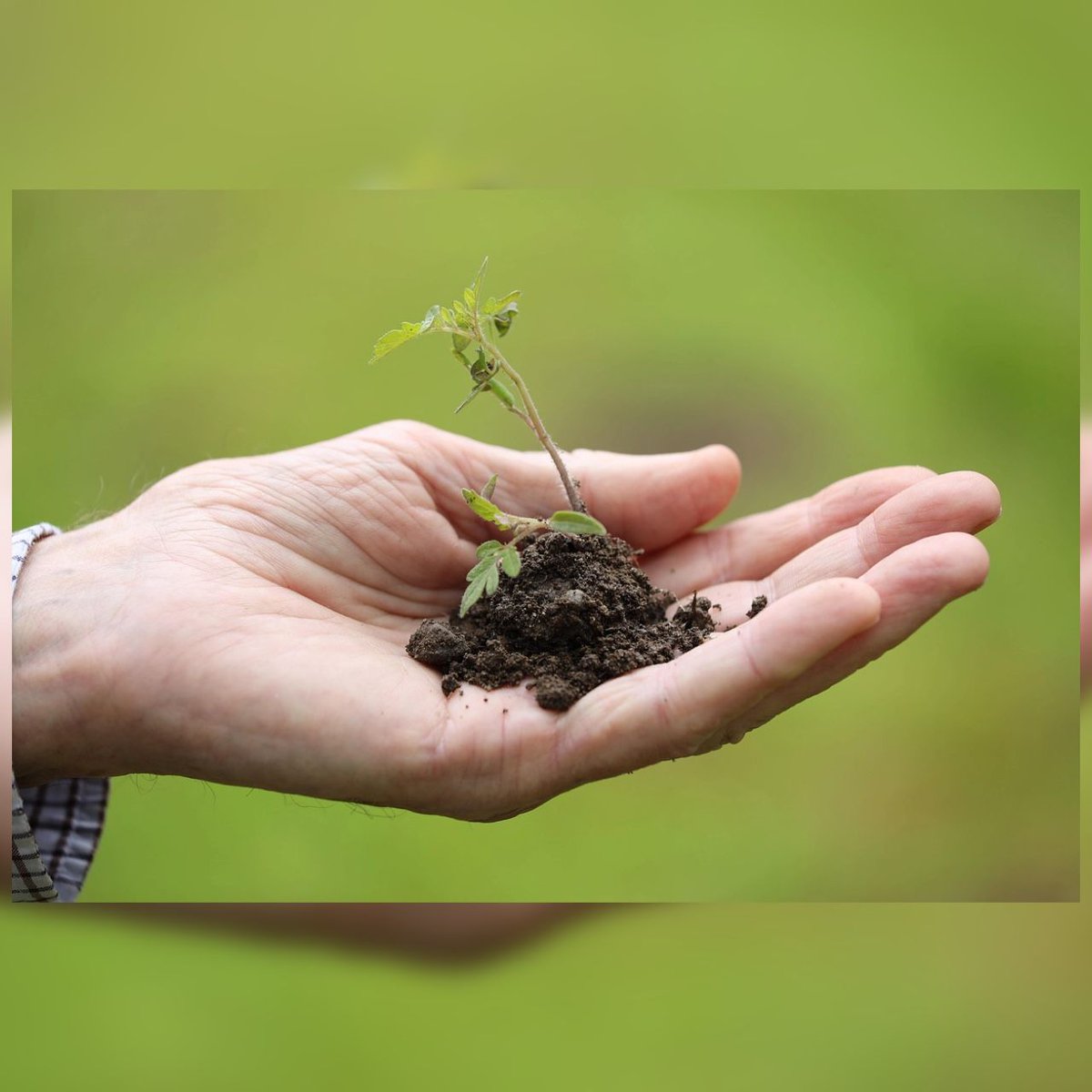 Edel Guenther (@edelguenther) on Twitter photo Soil sustains our food, forests, and future – yet it’s often overlooked.
<a href="/UNU_FLORES/">United Nations University-FLORES</a> connects soil, water, and climate to build resilience.
Protecting soil means securing our shared future.
#UNUat50 #InternationalSoilConservationDay #ResourceNexus #Sustainability Soil sustains our food, forests, and future – yet it’s often overlooked.
<a href="/UNU_FLORES/">United Nations University-FLORES</a> connects soil, water, and climate to build resilience.
Protecting soil means securing our shared future.
#UNUat50 #InternationalSoilConservationDay #ResourceNexus #Sustainability