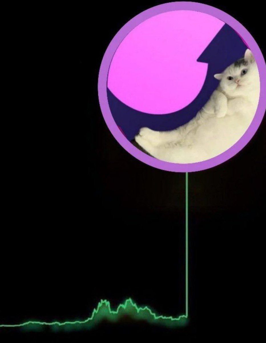 user9033697788's tweet photo. @DRcrypto23 @moonshot @mooncatonmoon 🔥🔥🔥🔥🔥🔥🔥🔥

#mooncatmonday is a thing 🌙🐱 https://t.co/7o6HBDFQyj